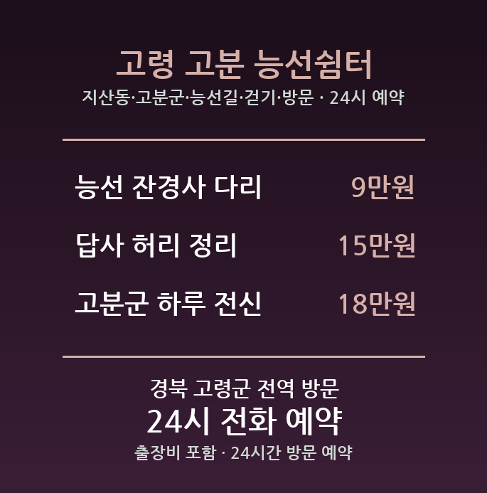 고령 출장마사지 - 지산동 고분군 능선길 걷기 방문 홈케어