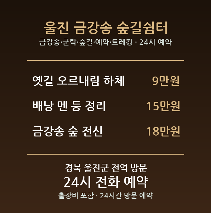 울진 출장마사지 - 금강송 군락 숲길 예약 트레킹 방문 홈케어