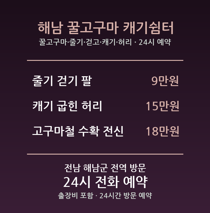 해남 출장마사지 - 꿀고구마 줄기 걷고 캐기 허리 방문 홈케어