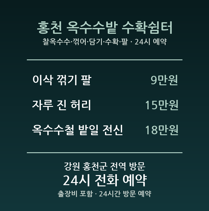 홍천 출장마사지 - 찰옥수수 꺾어 담기 수확 팔 허리 방문 홈케어