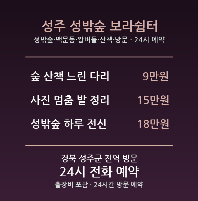 성주 출장마사지 - 성밖숲 맥문동 왕버들 산책 방문 홈케어