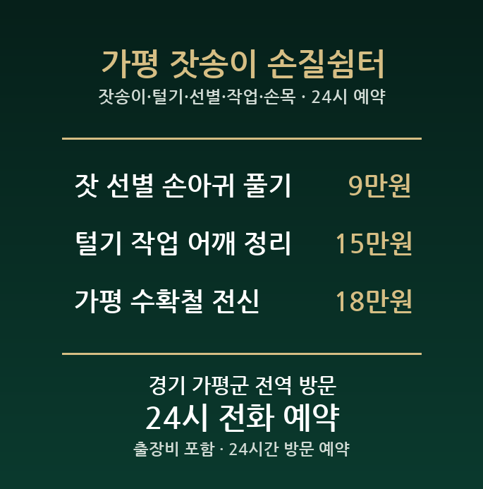 가평 출장마사지 - 잣송이 털기 선별 작업 손목 어깨 방문 홈케어