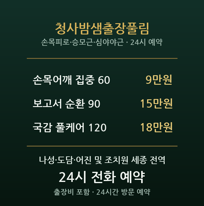 정부세종청사 출장마사지 - 나성동 공무원 밤샘 풀림케어
