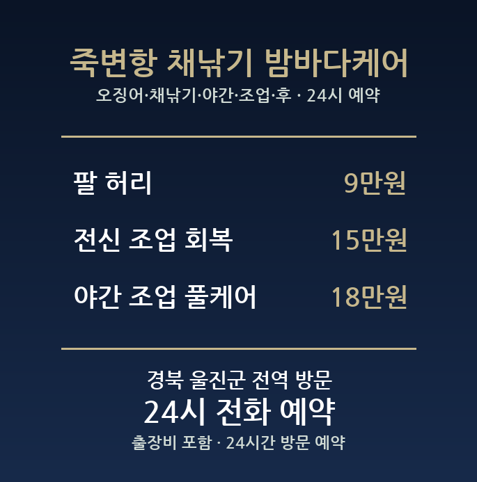 울진 출장마사지 - 오징어 채낚기 야간 조업 후 팔 허리 방문 홈타이