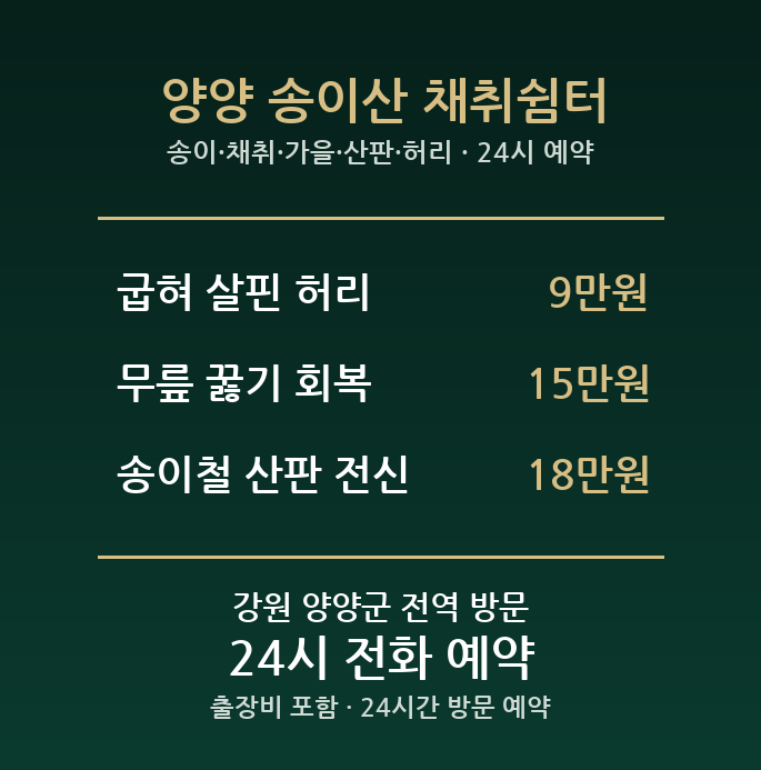양양 출장마사지 - 송이 채취 가을 산판 허리 무릎 방문 홈케어