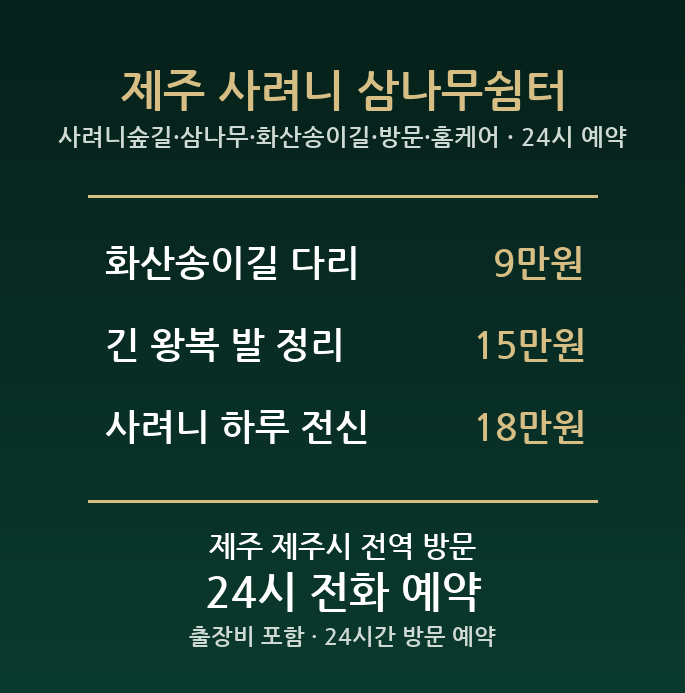 제주 출장마사지 - 사려니숲길 삼나무 화산송이길 방문 홈케어