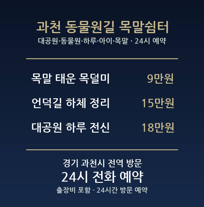과천 출장마사지 - 대공원 동물원 하루 아이 목말 어깨 방문 홈케어