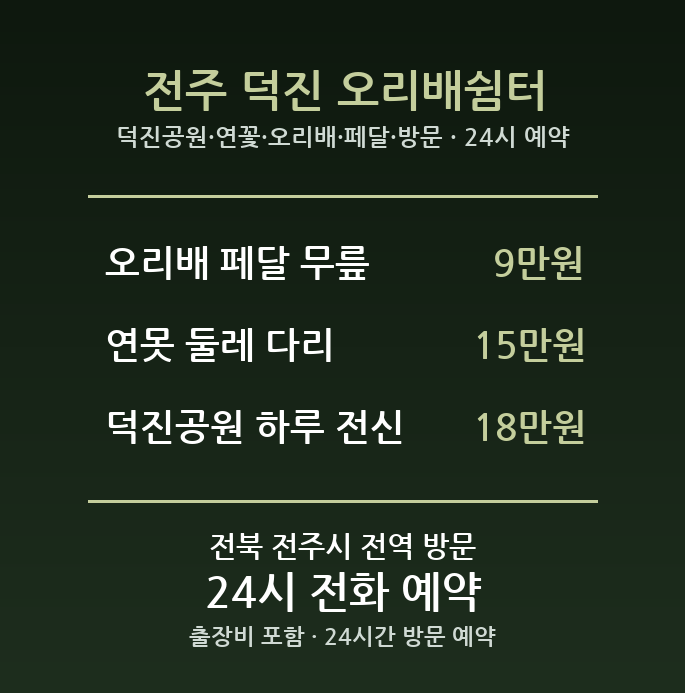 전주 출장마사지 - 덕진공원 연꽃 오리배 페달 방문 홈케어