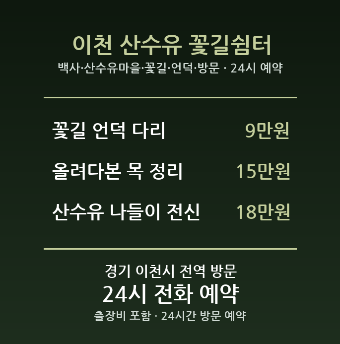 이천 출장마사지 - 백사 산수유마을 꽃길 언덕 방문 홈케어