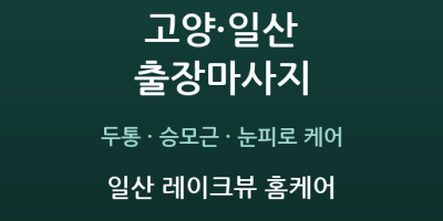 일산 레이크뷰 홈케어