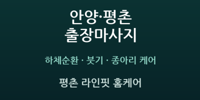 평촌 라인핏 홈케어