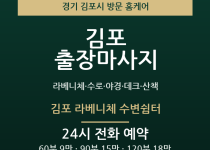 김포 출장마사지 - 라베니체 수로 야경 데… 출장마사지