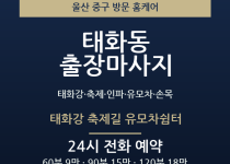 태화동 출장마사지 - 태화강 축제 인파 유… 출장마사지