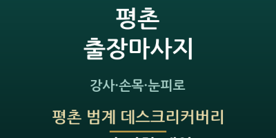 평촌 범계 데스크리커버리