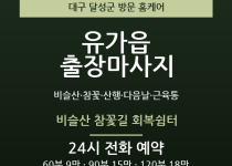 유가읍 출장마사지 - 비슬산 참꽃 산행 다… 출장마사지